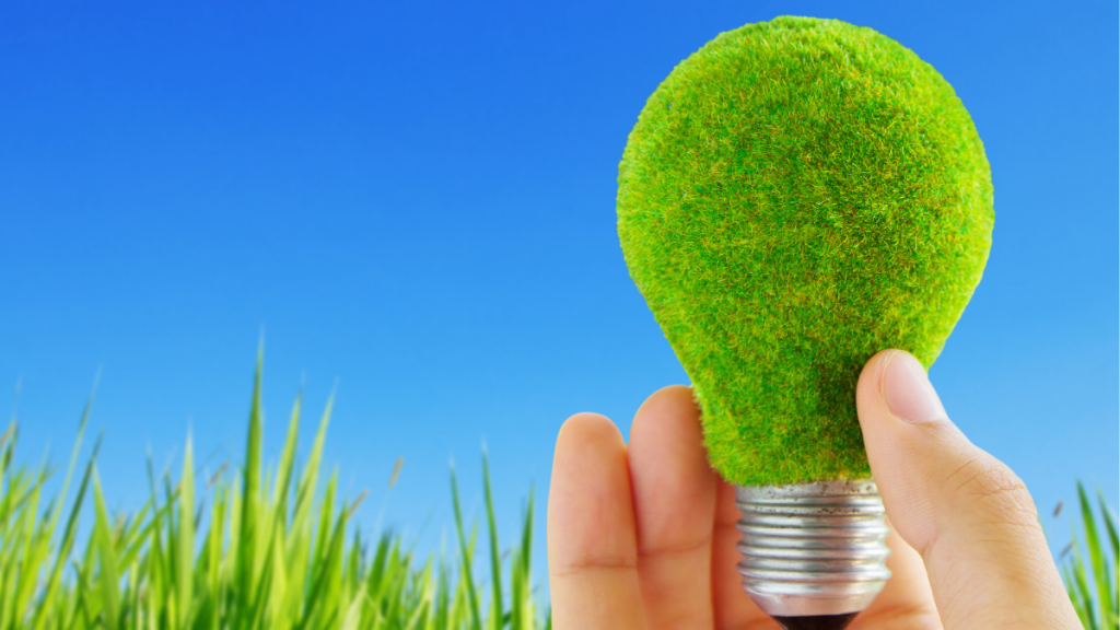Altas de luz: Costes, documentación y tarifas recomendadas 📋💡