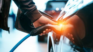 Consejos para viajar en coche eléctrico: Ventajas y desventajas 🚗⚡🐾