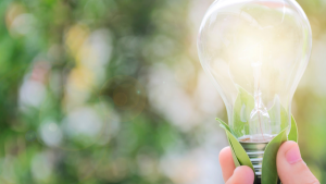 Todo lo que necesitas saber sobre las altas de luz: Documentación, plazos y precios 📝💡