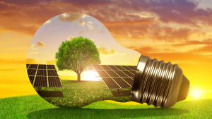 Baterías Virtuales y Excedentes: ¿Cómo Aprovecharlos con Naturgy, Endesa y CHC? ⚡🐾
