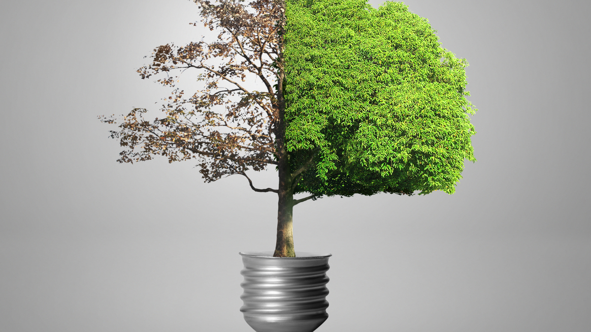 ¿Cómo saber si necesitas cambiar de compañía eléctrica en 2025? ⚡🐾